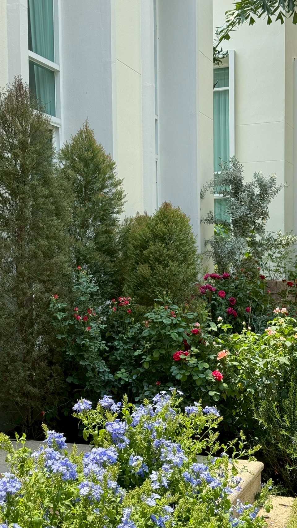 nontaburi_2 project detail 19